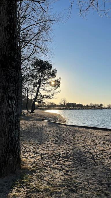 Villa Maison Neuve A Deux Pas Du Lac à Sanguinet Extérieur photo